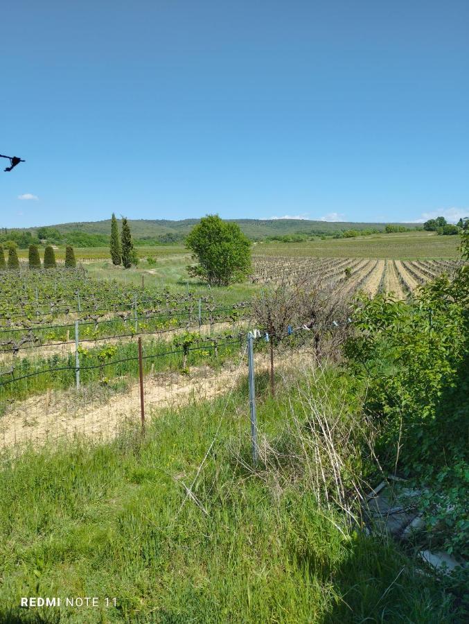 Chambre D Hotes En Provence, Au Pied Du Luberon, Les Coquelicots La Tour-d'Aigues Exterior photo
